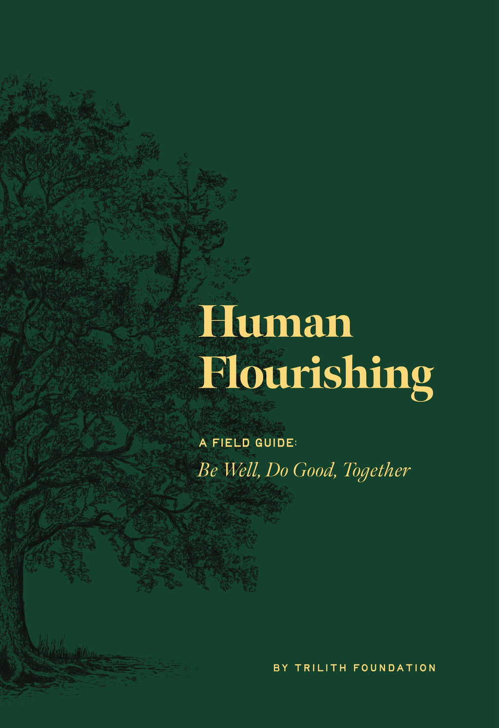 Human Flourishing A Field Guide